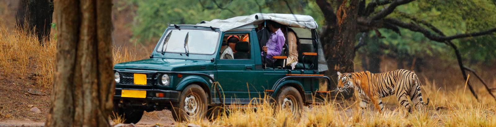 ranthambore car rental/taxi hire